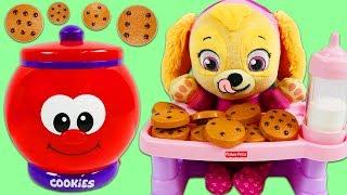 Paw Patrol Baby Skye Plays with Talking Count and Learn Cookie Jar Playset!