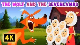 A Wolf  and the Seven  Lambs - English Story