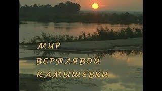 Мир вертлявой камышевки. Документальный фильм | Film Studio Aves