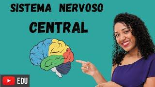 Aula Sistema Nervoso Central - Ensino fundamental