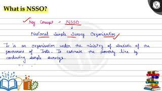 What is NSSO?