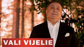 Vali Vijelie  Cornel Cojocaru - Cu viata mea la o cafea (Hituri Melodii Noi) 2024