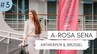 A-ROSA SENA: Mit dem Fahrrad durch Antwerpen & Brüssel