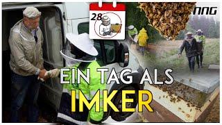 DER HÄRTESTE JOB DER WELT!!! SO ARBEITEN IMKER | NNG Explore mit RAINER KRÜGER