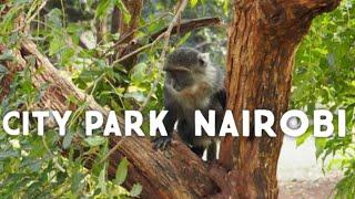 city park NAIROBI/ affordable places to visit in Nairobi Kenya 