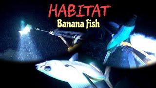 NIGHT SPEARFISHING EPISODE 10 | SPOT BANANA FISH