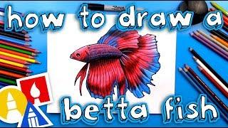 How To Draw A Realistic Betta Fish (Siamese Fighting Fish)