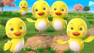 Five Little Ducks | Kids Songs | Beep Beep Nursery Rhymes