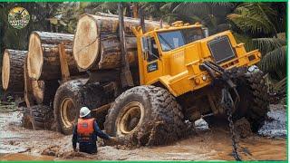 Extremely dangerous monster wood truck driving skills | climbing | heavy load #16