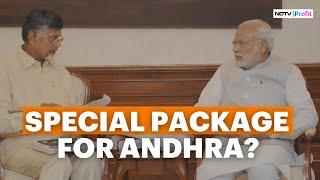 Budget 2024: Chandrababu Naidu To Seek 'Special Package' For Andhra Pradesh In Meet With NDA Leaders