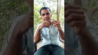 Denjurs snake in Nepal#viralvideo  #viralshort #youtubeshorts