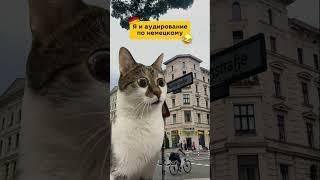 Я и немецкое аудирование #deutschonline #лексика #германия #мем #юмор #немецкий