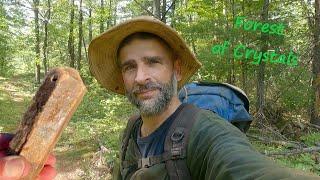 Finding Crystals In The Forest (A Miller/Smart Mine Calcite Pegmatite Digging Adventure)