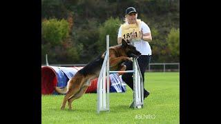 Agility Bundessiegerprüfung 2022 Karlsruhe