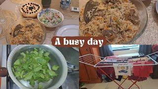 A busy day routine||mazy dar pulao biryani||vlogger with humaira