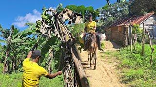 Vamos al conuco del campo en Republica Dominicana, La vida del campo