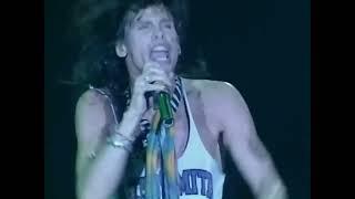 Aerosmith - Dude (Looks Like a Lady) - Pittsburgh 1993