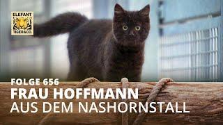Frau Hoffmann und die Nashörner (Folge 656) | Elefant, Tiger & Co. | MDR