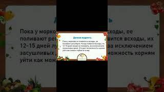 ДАЧНАЯ МУДРОСТЬ