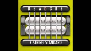 Perfect Guitar Tuner (7 String Standard = B E A D G B E)