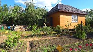 Big Tour of My Russian Garden / Ordinary Dacha (Сountry Land) of Middle Class Russians