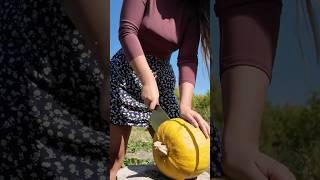 Harvesting pumpkins in the countryside️ #cooking #villagecooking #food