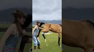 The Animals  #funnyanimals #animals #pets #shorts