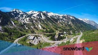 Summer at Snowbird