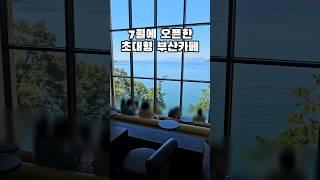 7월에 오픈한 초대형 부산카페 추천 #부산여행