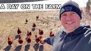 I Was Surprised By This Farm Stay Guest - VLOG