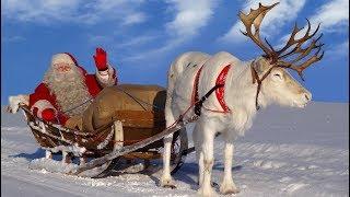 Moș Crăciun pentru copii  Cele mai bune plimbări cu reni ale Moș Crăciun în Laponia Finlanda pentru copii