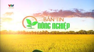 Sắp ra mắt Mạng nhà nông | BẢN TIN NÔNG NGHIỆP 12/10/2023 | VTV CẦN THƠ