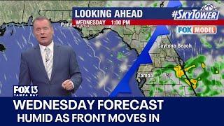 Tampa weather | Humid before cold front moves in