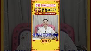 6월 토끼띠운세 나만 잘 참으면 돈 맛! 찐~하게 볼 수 있다! #토끼띠 #99년생 #87년생 #75년생 #63년생 #51년생 #금전운