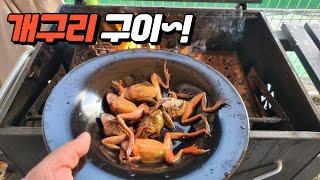 불법포획?! 벌금내도 먹고싶은맛은 무슨맛일까? ㅋㅋㅋㅋㅋㅋㅋㅋ