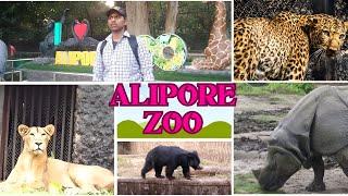 আলিপুর চিড়িয়াখানা || Alipore Zoo || ZooTour || कोलकाता का चिड़ियाघर || Zoo online ticket ||