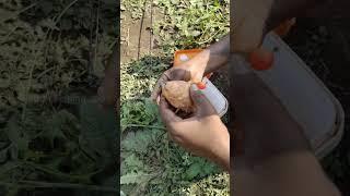 feeder bait, fishing tips, fish catching, kolhapuri Fishing and cooking