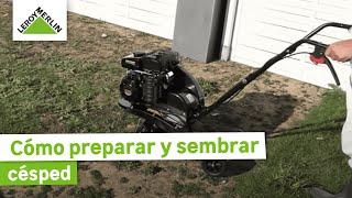 Cómo preparar y sembrar cesped ¡Guía paso a paso! | LEROY MERLIN