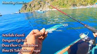 Akhirnya egi ini di sambar cumi babon sesuai harapan || Mancing cumi di pagi hari naik gabus