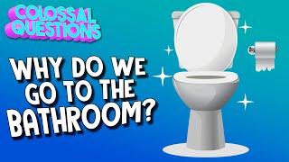 Why Do We Go To The Bathroom? | COLOSSAL QUESTIONS