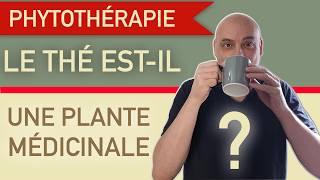 Le thé est-il une plante médicinale ?