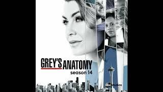 GREY'S ANATOMY SE14 EP15 BAD GOT ME GOOD by GIN WIGMORE