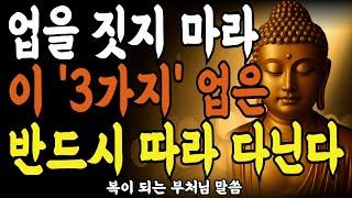 업을 짓지 마라 이 '3가지' 업은 반드시 이어진다ㅣ부처님 말씀ㅣ불교 명언ㅣ석가모니 가르침ㅣ운 트이는 방법