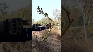 Bamboo Arrow And Bow Craft With Home And Bow #diy #craft #youtubeshorts #wood #bamboo