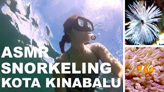 ASMR- Snorkel with me in Kota Kinabalu, Sabah  || jetsesther