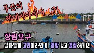 부산의 핫플레이스 부네치아 장림포구에서 많이 당황한 솔직 후기 l 광안리에서 우연히 얻어걸린 독특한 카페