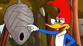 Be Nice To Bees! | Woody Woodpecker
