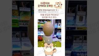 편의점 단골 손님이 두고 간 것 #유머 #편의점 #빌런 #알바 #공감
