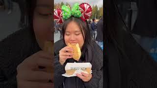 Everything I ate at Disneyland Paris Christmas edition