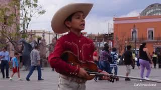 Así bailan "El Querreque" desde el centro de Aguascalientes por Son de la Huerta